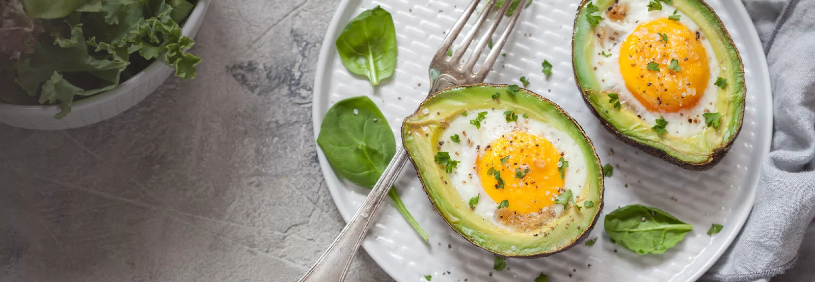 The Keto Plan: Unleashing the Power of Ketosis for Optimal Health